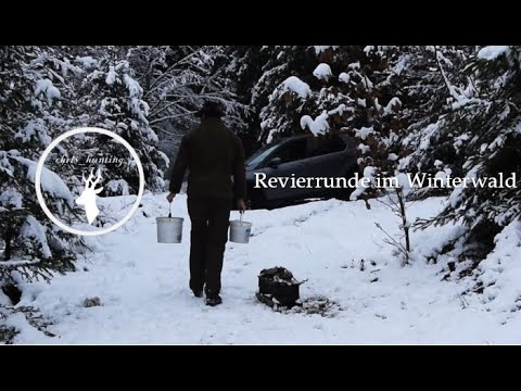 Revierrunde im Winterwald | Kirren bei Schnee | chris_hunting