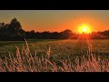 DUNGTER SANGTUNG BAMANG LORAM NYISHI SONG With Lyrics Videos