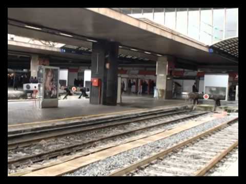 Parte 'Treno Verde 2014', il convoglio che monitora l'inquinamento ...