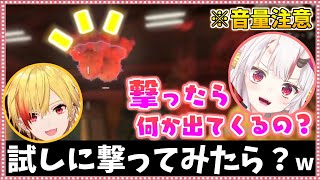 【※鼓膜注意】悪い猫に騙されてガチで絶叫してしまうお嬢【ホロライブ/切り抜き】