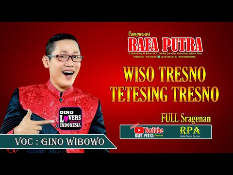 Full Sragenan || Wiso Tresno - Tetesing Tresno || Gino Wibowo || Rafa Putra Campursari | RPA Studio