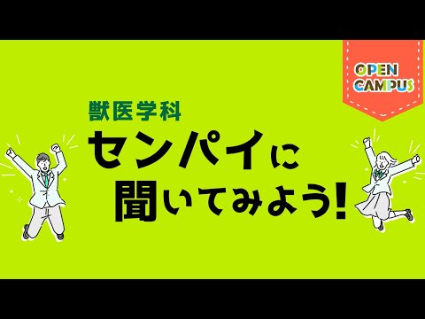 【獣医学科】学生インタビュー