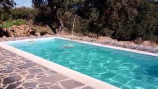 preview picture of video 'Tor mi PDAE disfrutando de los ultimos chapuzones en la pisci. HD'