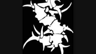 Sepultura - Piranha ( Exodus cover )