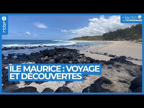 Île Maurice : voyage en plein océan indien et merveilles de la nature - Le Jardin Extraordinaire 🌍