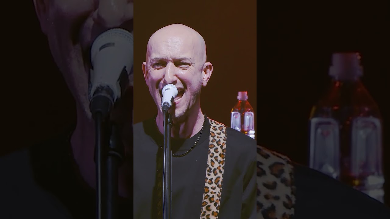 12/27 アニバーサリーライブ「25&FOREVER」開催まであと5日 #monkeymajik #モンキーマジック #虹色の魚 #anniversarylive