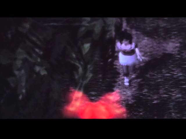 Fatal Frame II: Crimson Butterfly