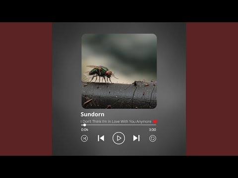 I Dont Think Im In Love With You Anymore - Sundorn
