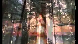 Bee Gees - Songbird