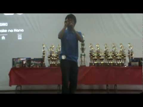 Kenji Ynagaki / Smap - Sekai ni hitotsu no hana（Cover）