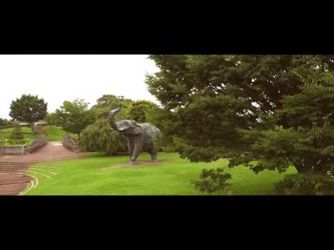 大分市美術館-Oita Art Museum-【OITA CITY -the bird view-】