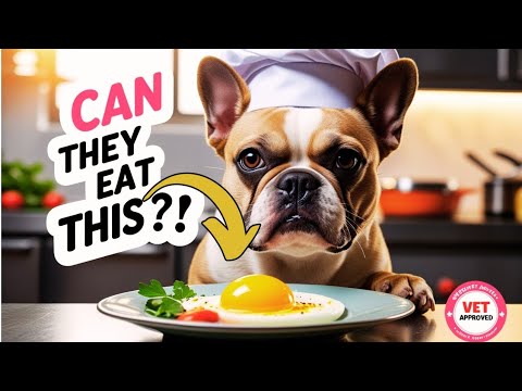 Can French Bulldogs EAT EGGS? Discover The Truth About Feeding Your Pup Eggs!