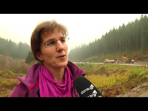 B11 im Fokus – Bauamt lädt zu Pressekonferenz