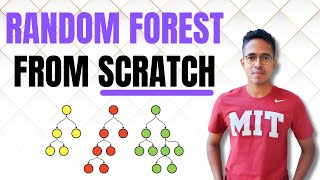 Random forest explained and built from scratch