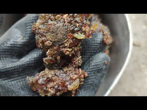 Commiphora wightii pure guggul gum, packaging type: packet, ...