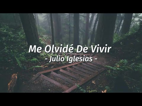 Julio Iglesias - Me olvidé de vivir + letra /Lyrics