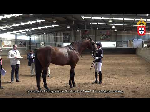 230424 18 Nefasto - Aprovação de Garanhões