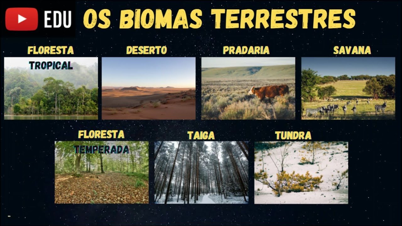 BIOMAS TERRESTRES