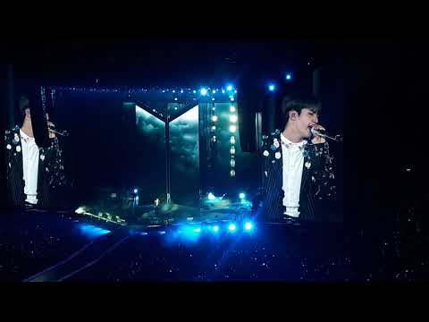 18 Jin - Epiphany (BTS Love Yourself Tour - Live @ Ziggo Dome - Amsterdam 181013)