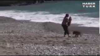Собака спасает младенца от опасных волн в Турции
