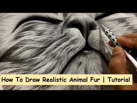 Drawing Realistic Animal Fur | Tutorial