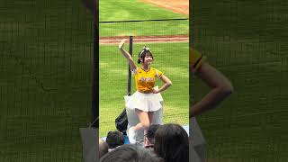【Passion Sisters】#瑄 ドミニカVS中信兄弟@桃園棒球場 20241110 #台湾チア #cheerdance #cheerleading #passionsisters