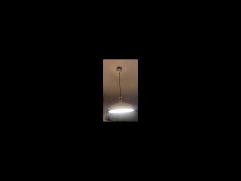 maciek x assicx - przekrój