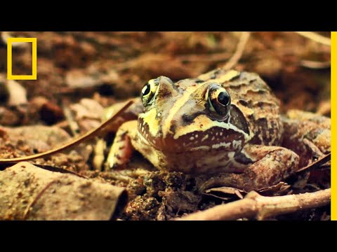 Meet the world long jump champion