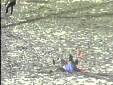 Ancona   Lazio 92 93 Gol Signori