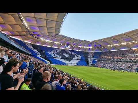 HSV - Stuttgart 5.6.23 Relegation Rückspiel Einlaufchoreo