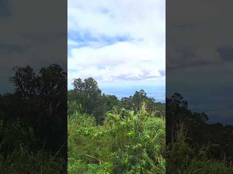 pico Alto em guaramiranga Ceará