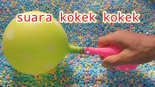 Download lagu Suara kokek  kokek  balon warna hijau dan pink  #hiburan mp3