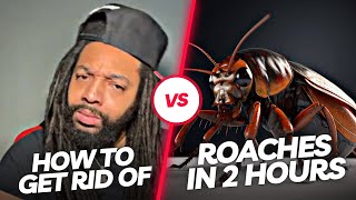 How To Get Rid Of Roaches In 2 Hours