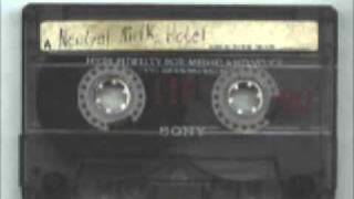 neutral milk hotel - sailing through