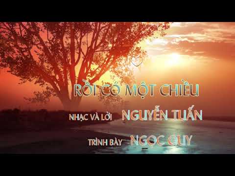 Rồi có một chiều - Ngọc Quy