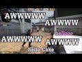 SovietWomble Cake Says Hello Nep Says Im Peeking Banana