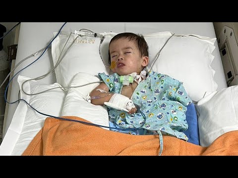 Мухаммад. ID 446