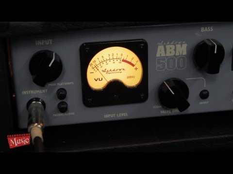 Ashdown ABM 500 evo II - Silver image 7