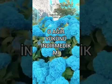 İnşirah suresi Kuran