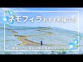 channel