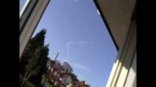 WTF IS THAT!? BUSTED!