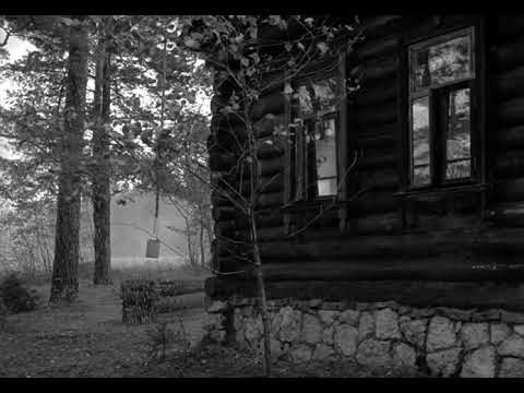 Andrei Tarkovsky - The Mirror