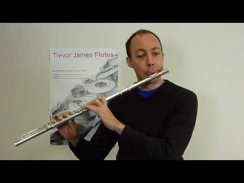 The Handmade Trevor James Recital flute with Flutemakers Guild of London headjoint