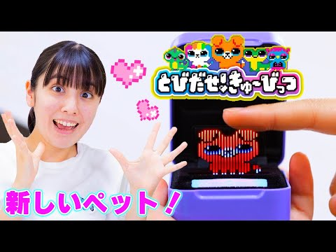 新しいペット？！とびだせ!きゅーびっつでデジタルペットをお世話！本当に触れちゃうの？【とびだせ!きゅーびっつ】