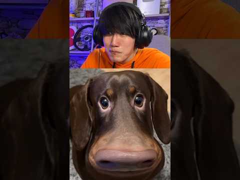 Try not to Laugh Game!