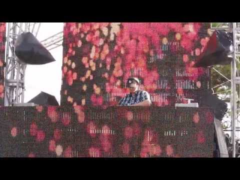 Liquid Todd Live at Something Wicked Festival 2013 / Mystic Meadows Stage