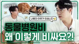 펫보험 꼭 들어야 할까요? 🤨 | 설채현 행동학 수의사