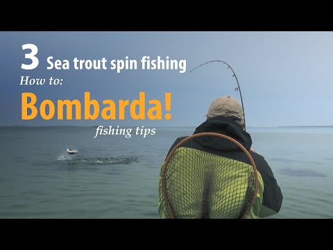 How to • Sea trout - Spin fishing • Bombarda • fishing tips