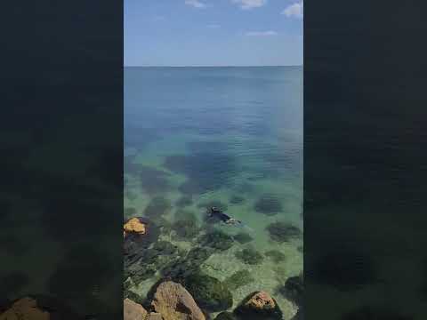 Zona Cazino Constanta ideala pentru snorkeling si relaxare