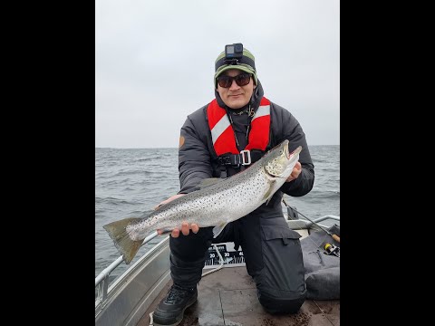 Fight with 69cm seatrout / 69cm meritaimenen väsytystä